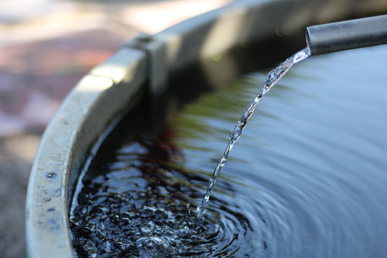 5 techniques ingénieuses pour récupérer l'eau de pluie sans toit...