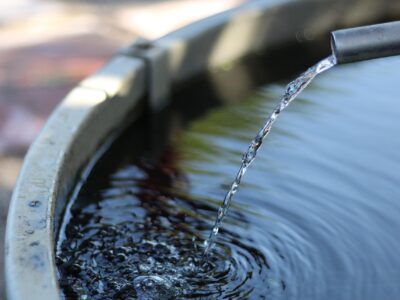 5_techniques_ingénieuses_pour_récupérer_l_eau_de_pluie_sans_toit_:_un_guide_pour_les_écologistes_modernes