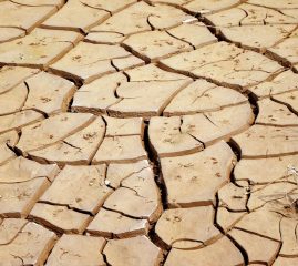 L’urgence_du_dérèglement_climatique