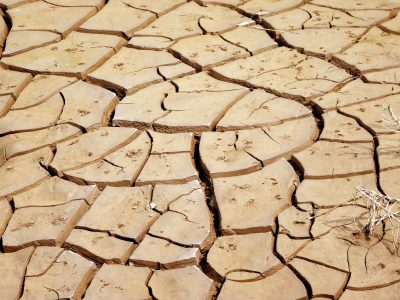 L’urgence_du_dérèglement_climatique
